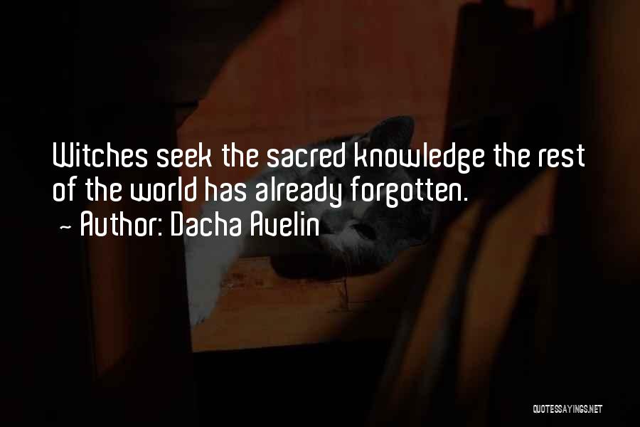 Seek Knowledge Quotes By Dacha Avelin