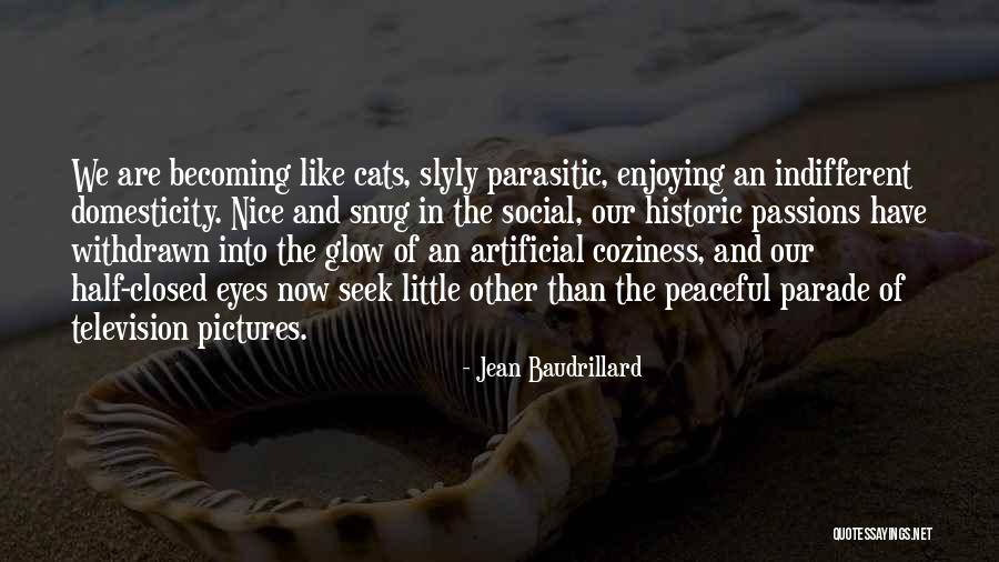Seek Peace Quotes By Jean Baudrillard Seek Peace Quotes By Jean Baudrillard