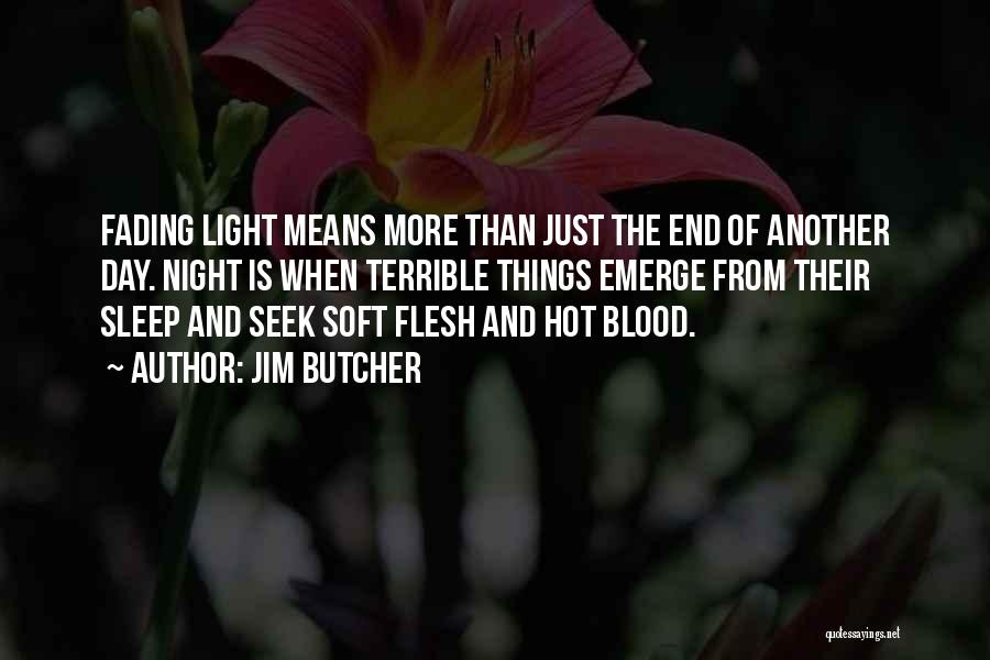 Seek The Light Quotes By Jim Butcher