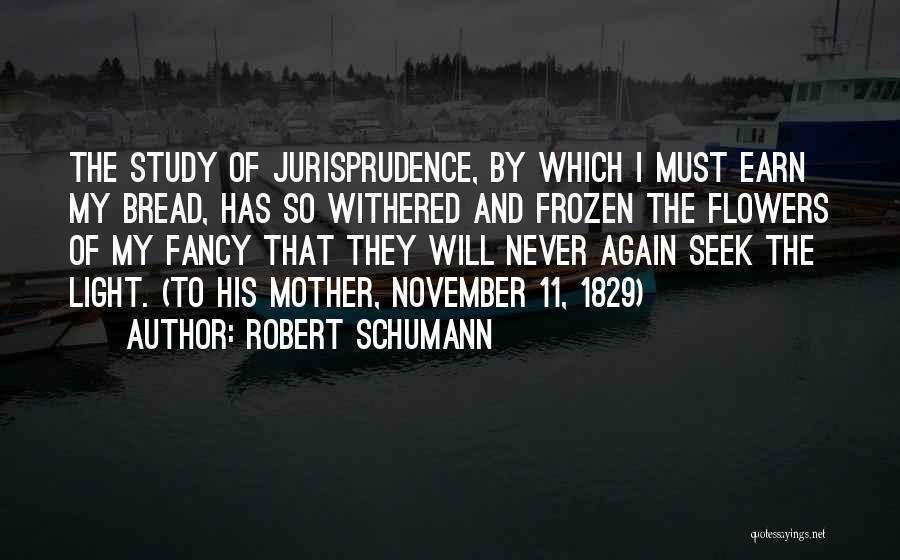 Seek The Light Quotes By Robert Schumann