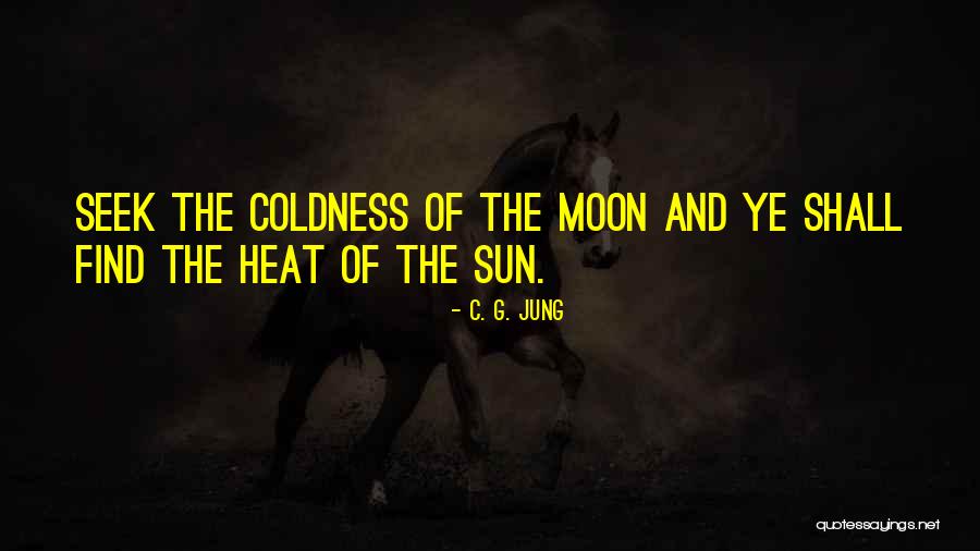 Seek The Sun Quotes By C. G. Jung Seek The Sun Quotes By C. G. Jung