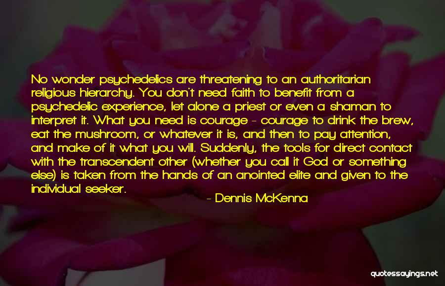 Seeker Of Faith Quotes By Dennis McKenna Seeker Of Faith Quotes By Dennis McKenna