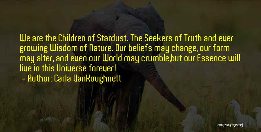 Seekers Of Truth Quotes By Carla VanKoughnett