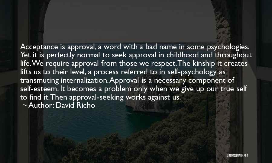 Seeking Approval Quotes By David Richo