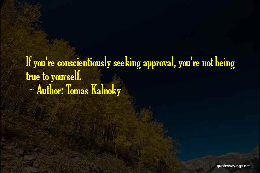 Seeking Approval Quotes By Tomas Kalnoky