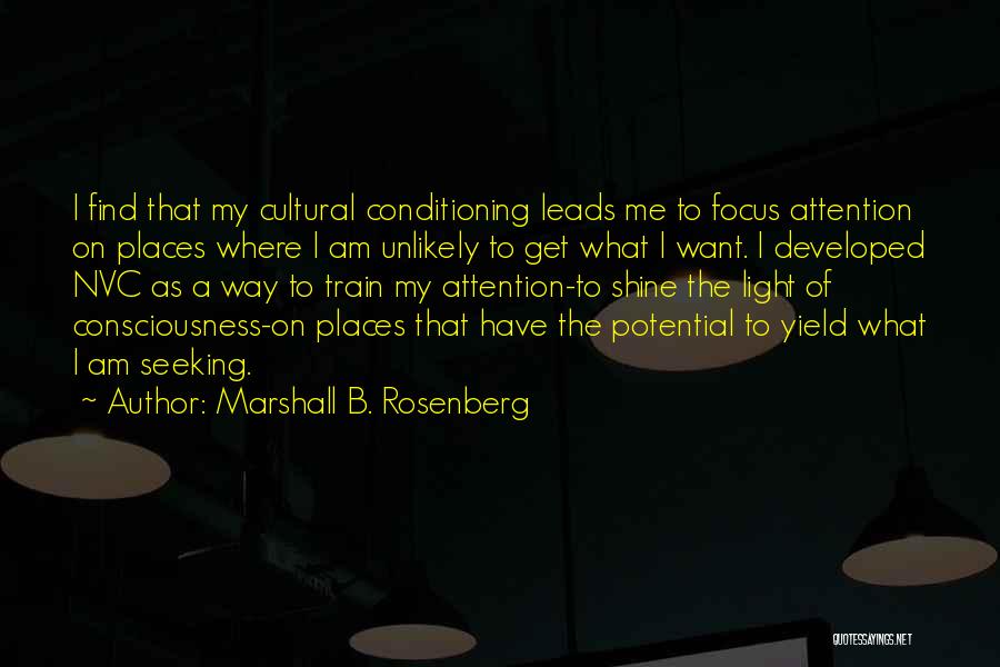 Seeking Light Quotes By Marshall B. Rosenberg