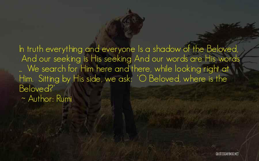 Seeking Love Quotes By Rumi