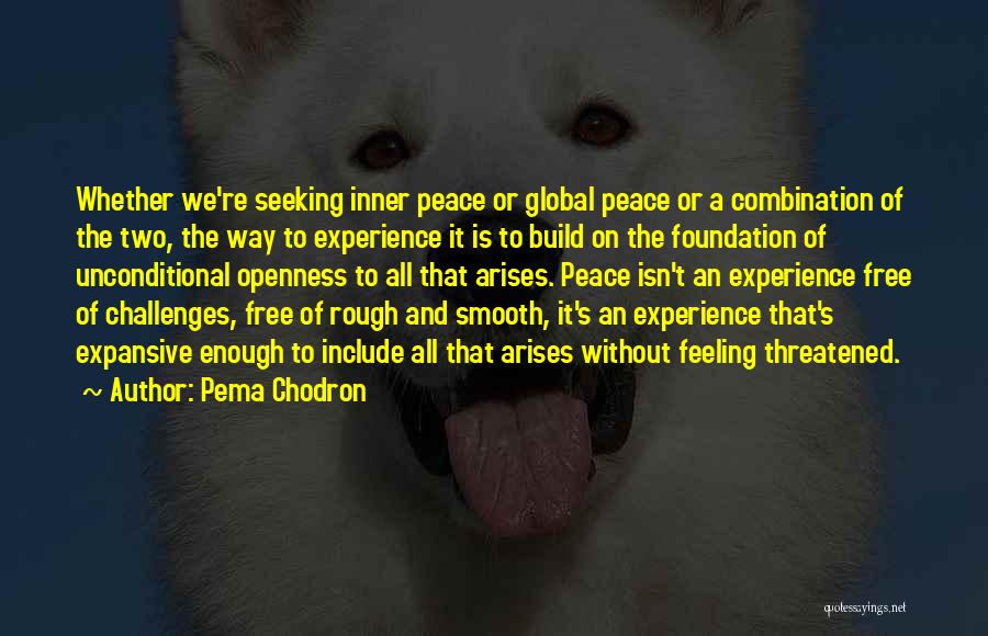 Seeking Peace Quotes By Pema Chodron