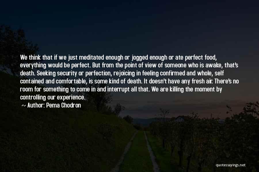 Seeking Perfection Quotes By Pema Chodron