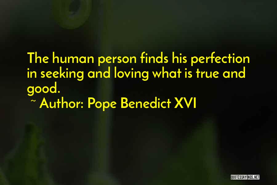 Seeking Perfection Quotes By Pope Benedict XVI