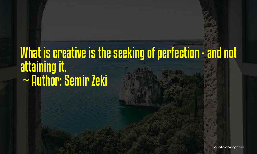 Seeking Perfection Quotes By Semir Zeki