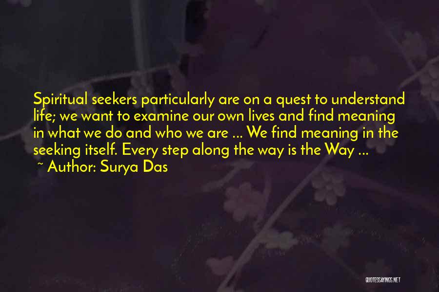 Seeking To Understand Quotes By Surya Das