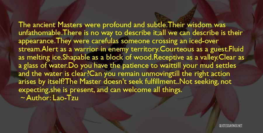 Seeking Wisdom Quotes By Lao-Tzu