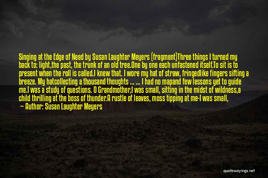 Seeking Wisdom Quotes By Susan Laughter Meyers