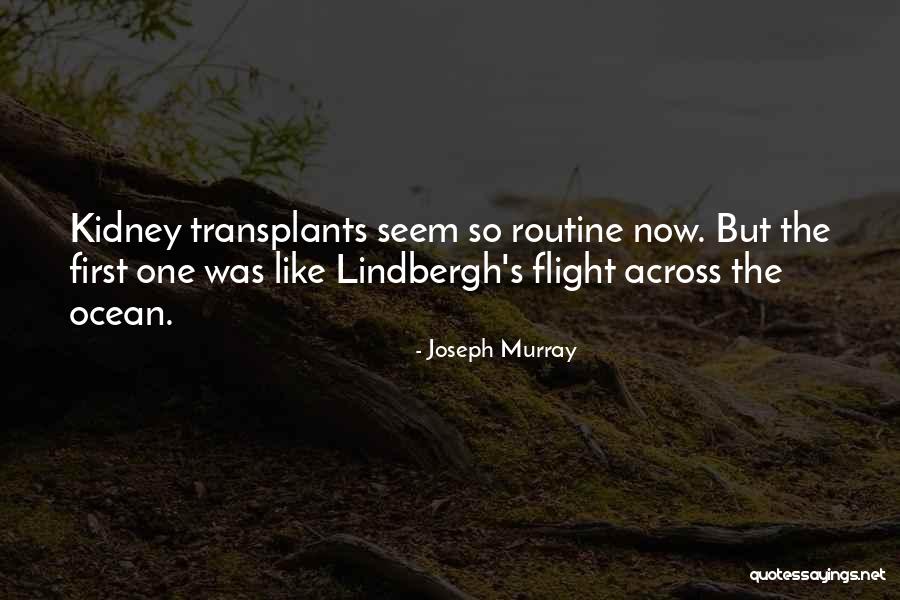 Seekster Quotes By Joseph Murray Seekster Quotes By Joseph Murray