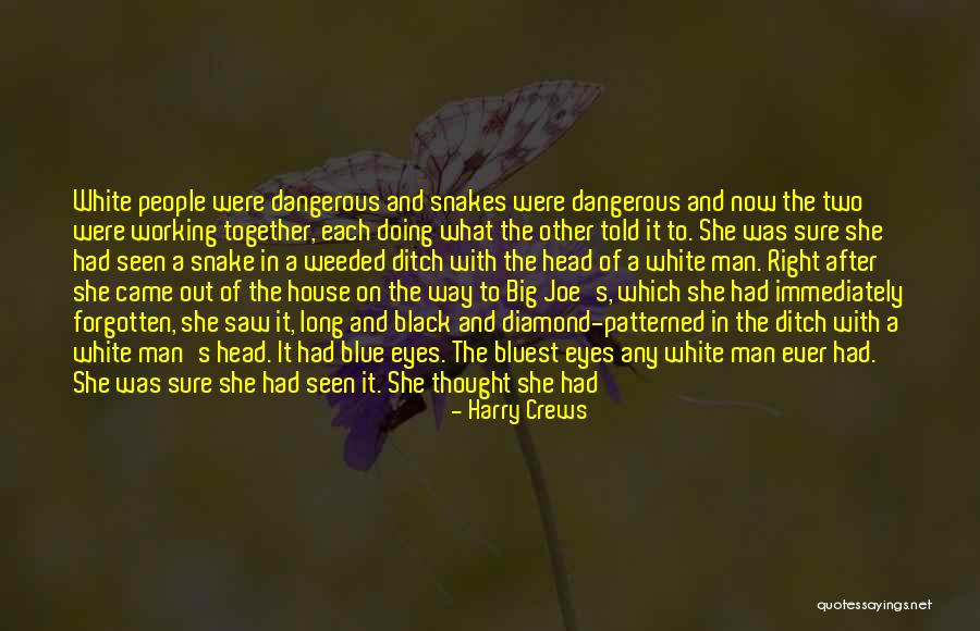 Seelawathie Gopallawa Quotes By Harry Crews Seelawathie Gopallawa Quotes By Harry Crews