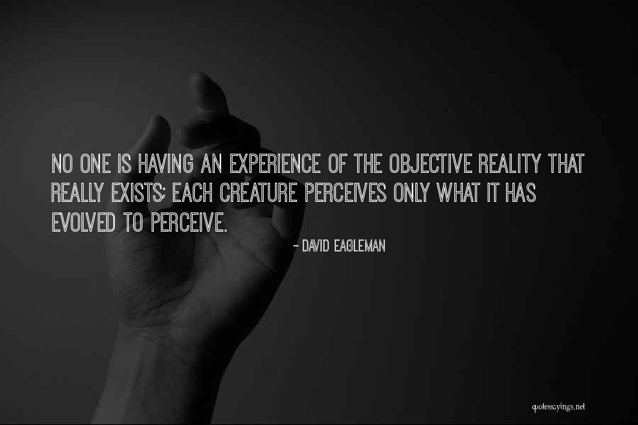 Seele Quotes By David Eagleman Seele Quotes By David Eagleman