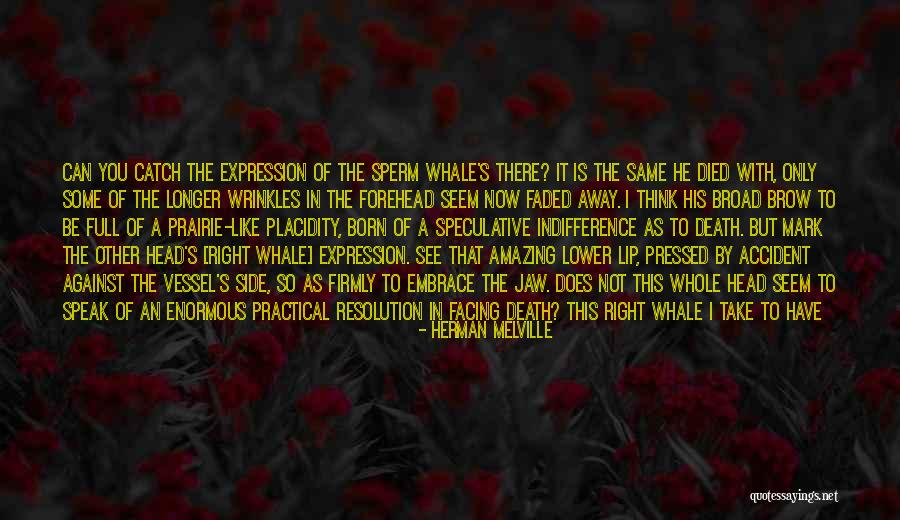 Seem Like Quotes By Herman Melville Seem Like Quotes By Herman Melville
