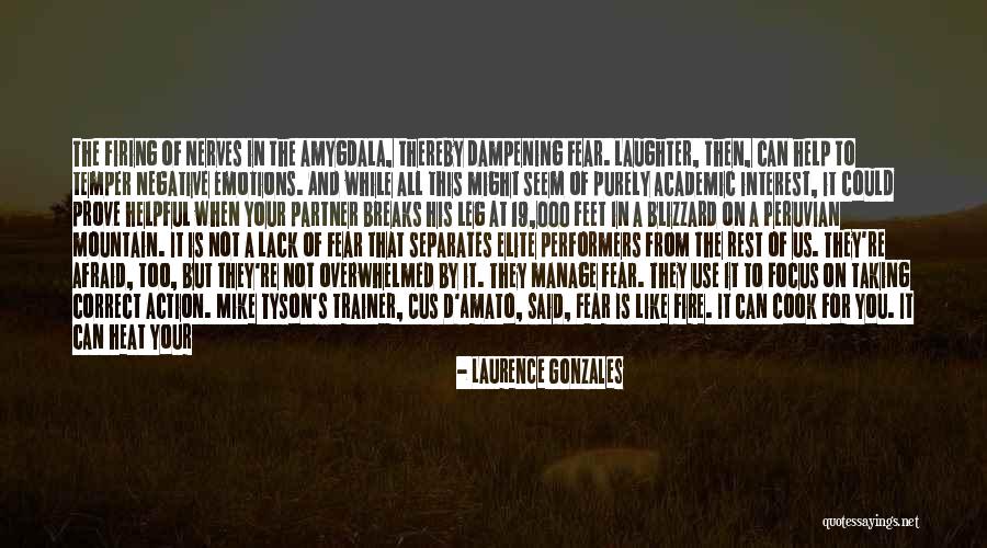 Seem Like Quotes By Laurence Gonzales Seem Like Quotes By Laurence Gonzales