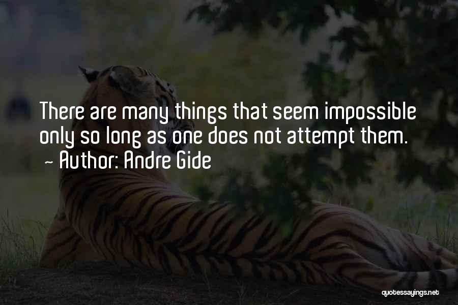 Seem So Small Quotes By Andre Gide