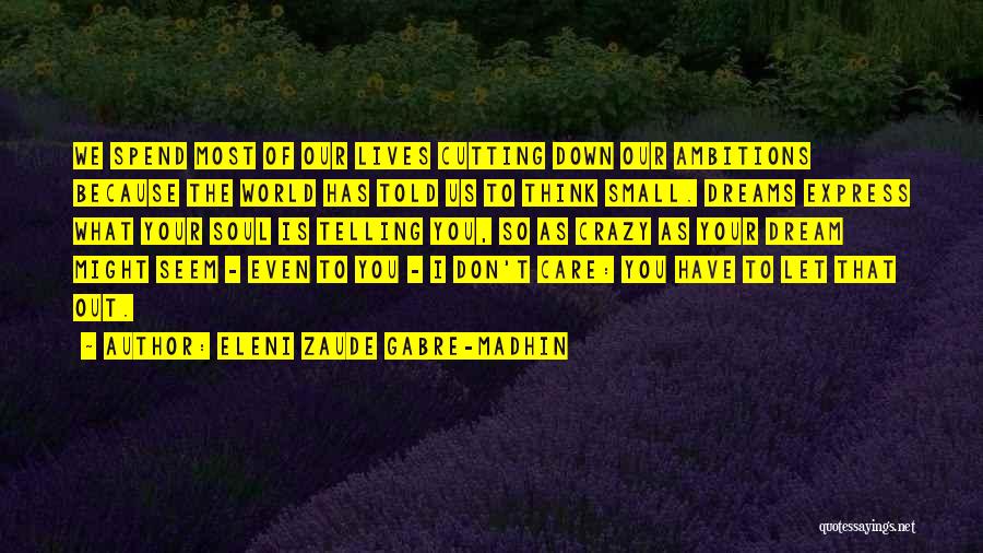 Seem So Small Quotes By Eleni Zaude Gabre-Madhin