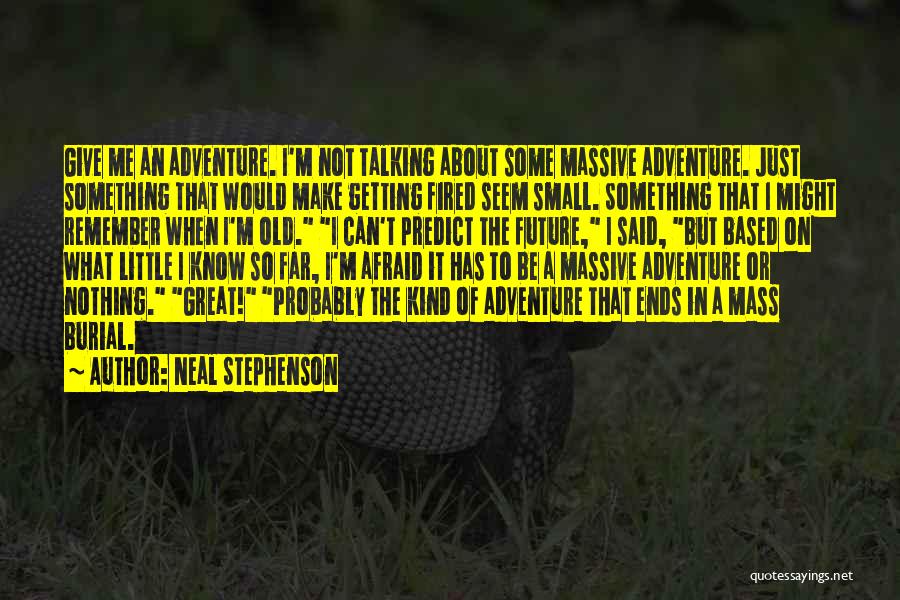 Seem So Small Quotes By Neal Stephenson