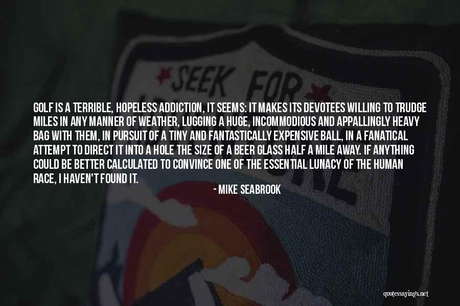 Seems Hopeless Quotes By Mike Seabrook