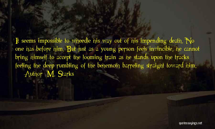 Seems Impossible Quotes By M. Starks