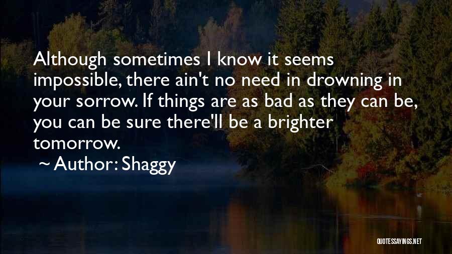 Seems Impossible Quotes By Shaggy