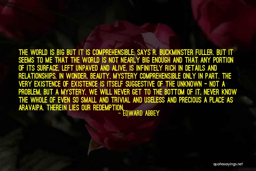 Seems Useless Quotes By Edward Abbey Seems Useless Quotes By Edward Abbey