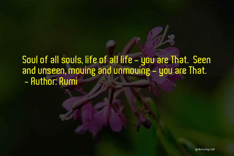 Seen You Quotes By Rumi