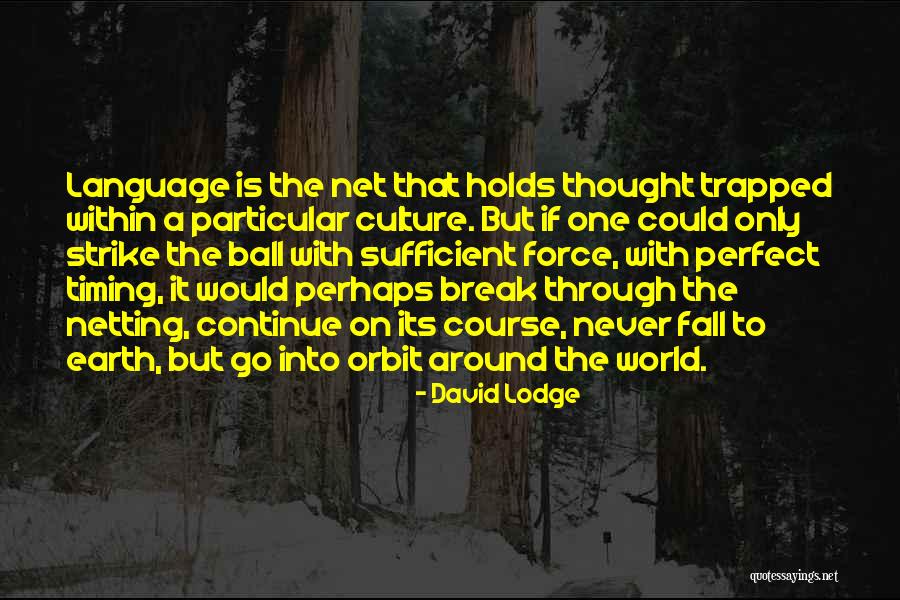 Seeord Quotes By David Lodge Seeord Quotes By David Lodge