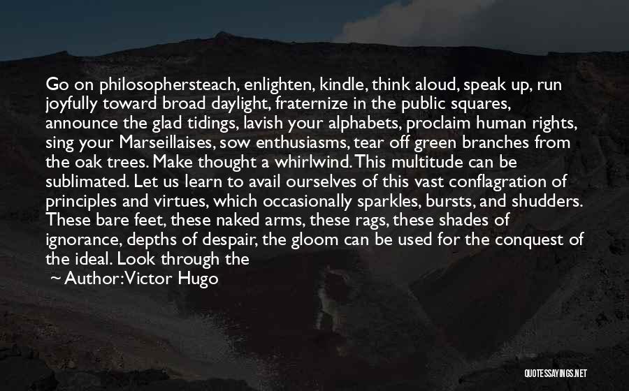 Seethe Quotes By Victor Hugo