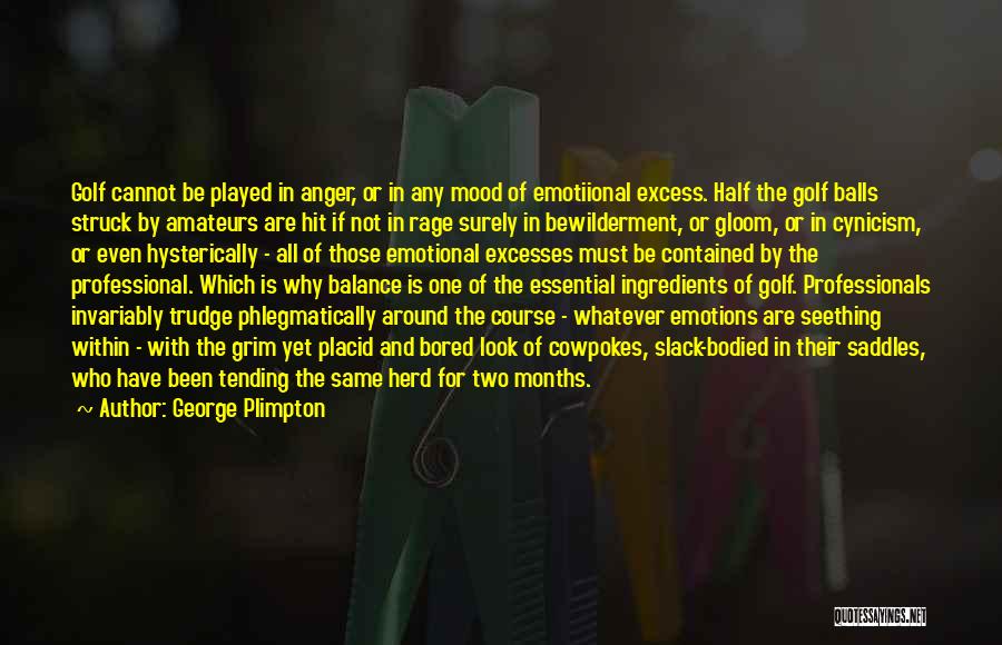 Seething Anger Quotes By George Plimpton