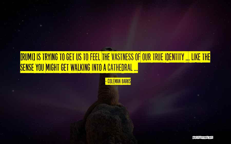 Sefalet Emine Quotes By Coleman Barks Sefalet Emine Quotes By Coleman Barks
