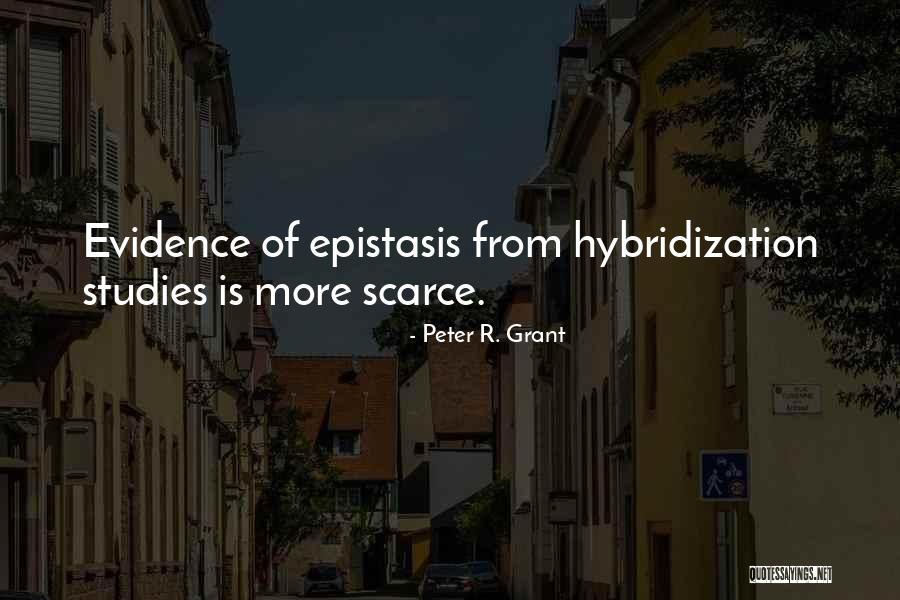 Sefkija Mrkulic Quotes By Peter R. Grant Sefkija Mrkulic Quotes By Peter R. Grant