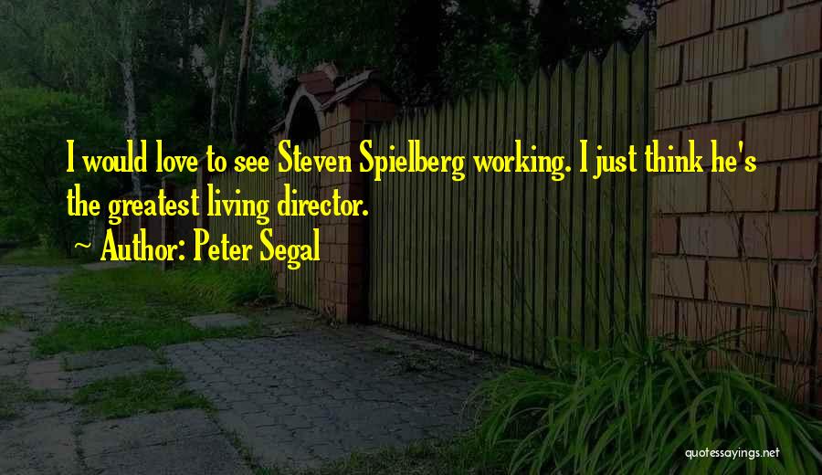 Segal Quotes By Peter Segal