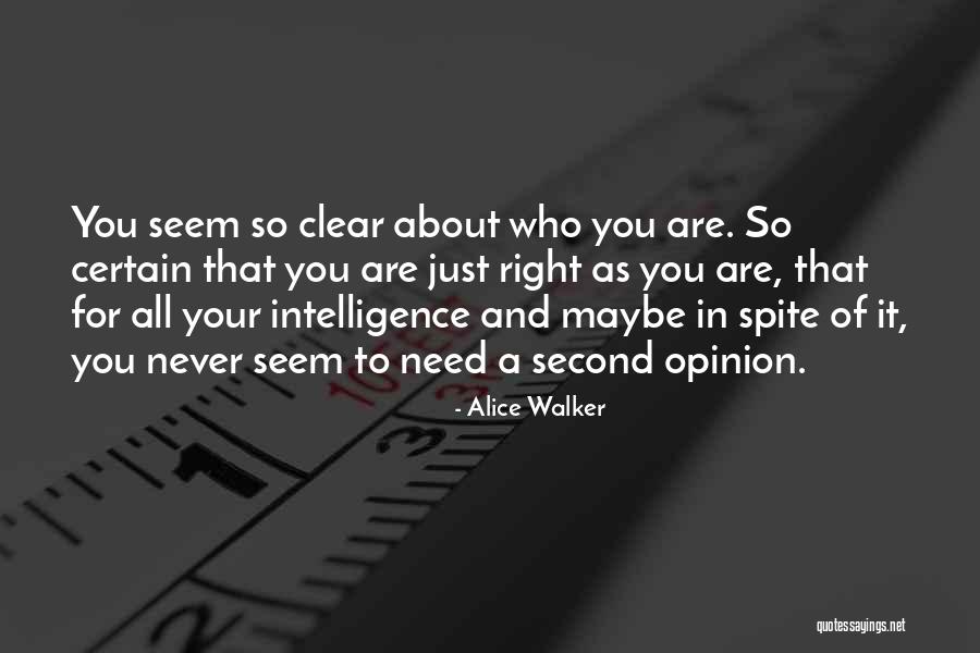 Segatori Murales Quotes By Alice Walker Segatori Murales Quotes By Alice Walker