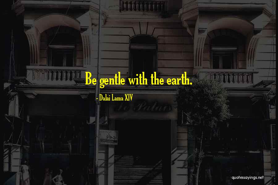 Seggiolino Antiabbandono Quotes By Dalai Lama XIV Seggiolino Antiabbandono Quotes By Dalai Lama XIV