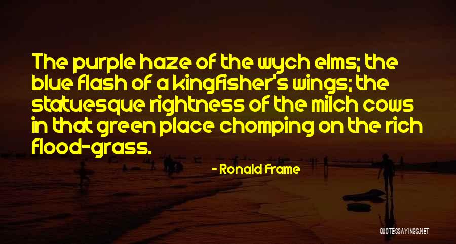 Segjadja Quotes By Ronald Frame Segjadja Quotes By Ronald Frame