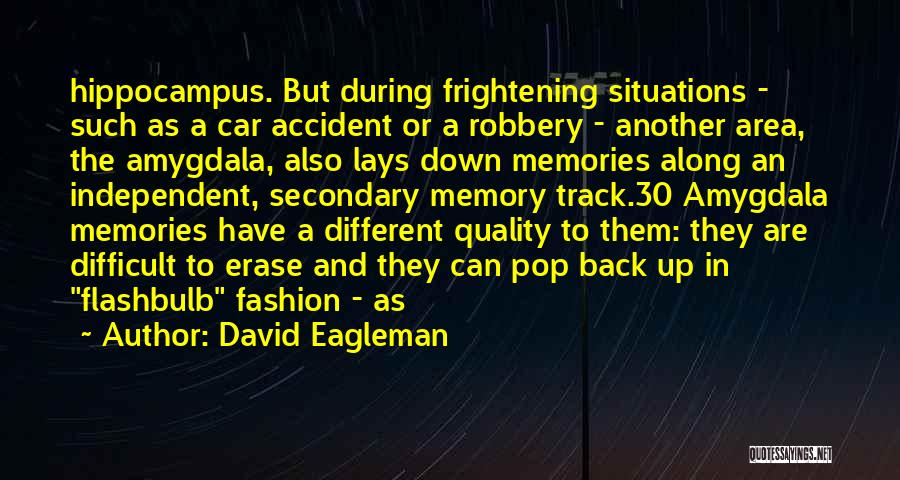 Seglar En Quotes By David Eagleman