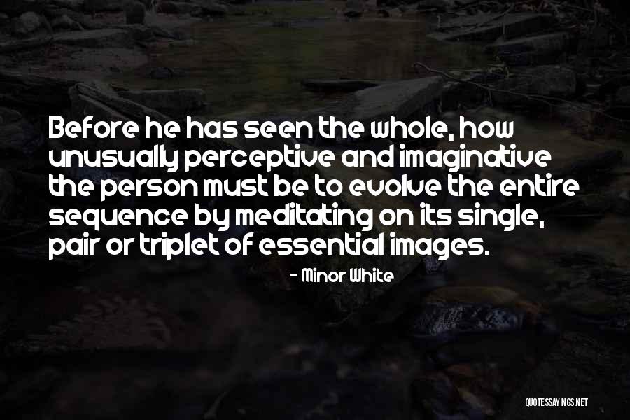 Segluromet Quotes By Minor White Segluromet Quotes By Minor White
