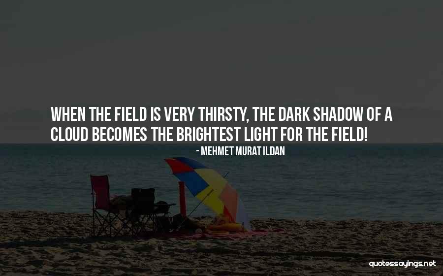 Segmentation In Marketing Quotes By Mehmet Murat Ildan Segmentation In Marketing Quotes By Mehmet Murat Ildan