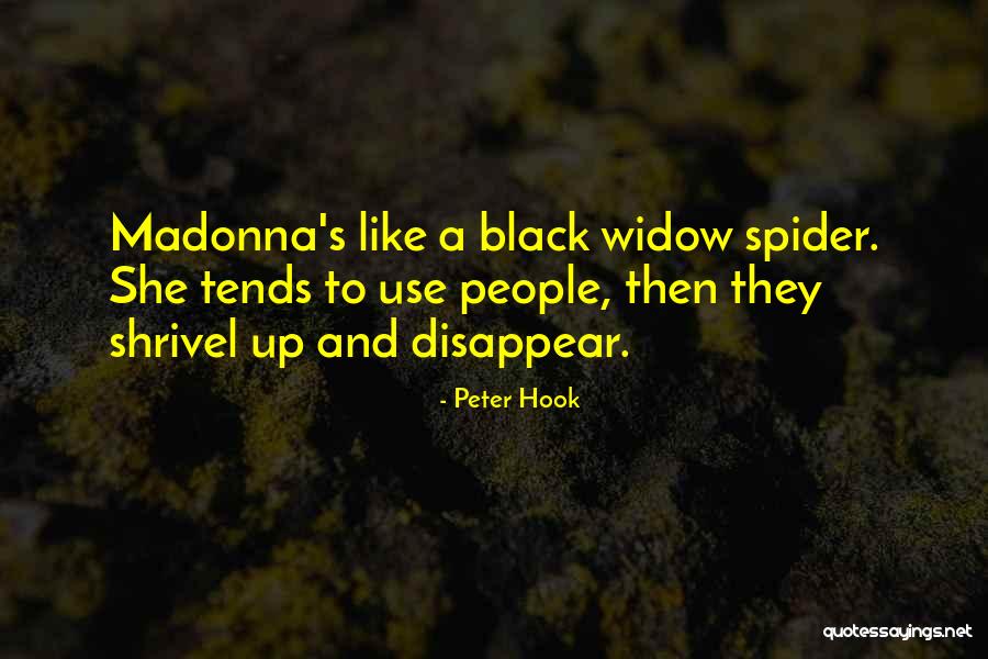 Segoe Font Quotes By Peter Hook Segoe Font Quotes By Peter Hook