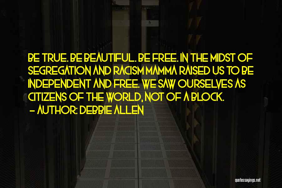 Segregation Quotes By Debbie Allen