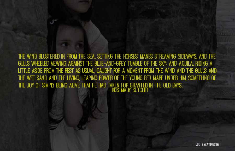 Seguia Wines Quotes By Rosemary Sutcliff Seguia Wines Quotes By Rosemary Sutcliff
