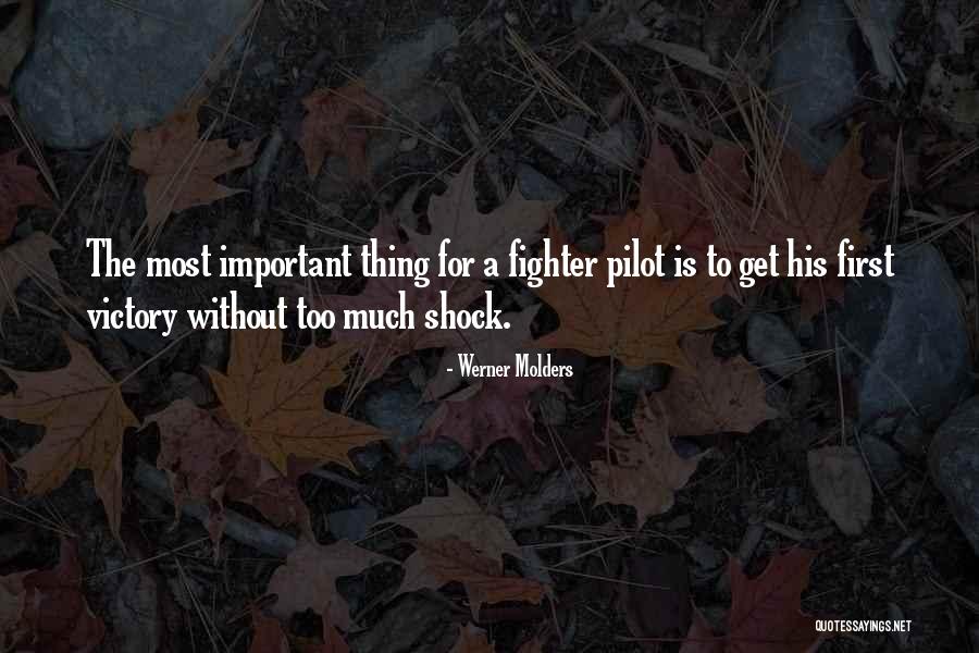 Seguimos Siendo Quotes By Werner Molders
