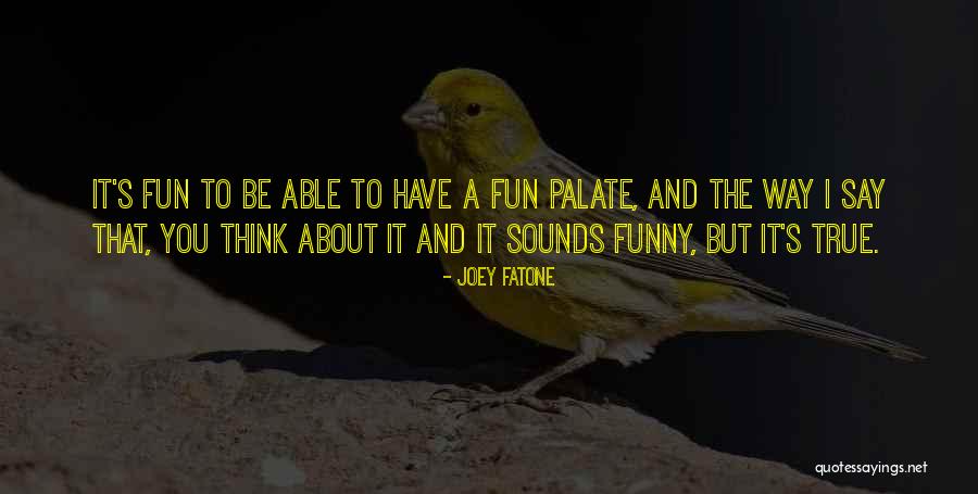 Seguintexas Quotes By Joey Fatone Seguintexas Quotes By Joey Fatone