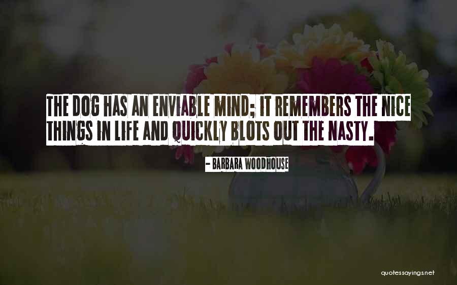 Seguna Raceway Quotes By Barbara Woodhouse Seguna Raceway Quotes By Barbara Woodhouse