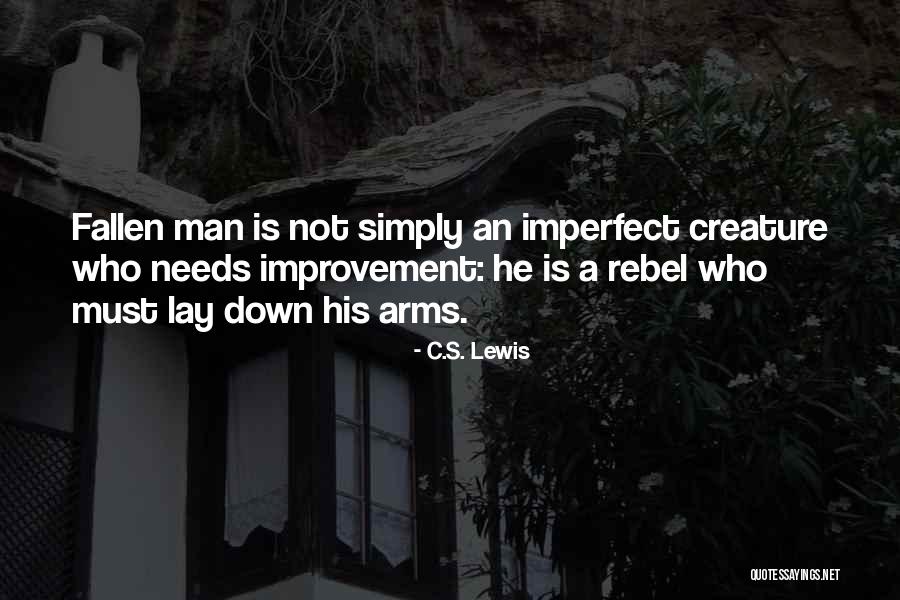 Sehnenscheidenentzuendung Quotes By C.S. Lewis Sehnenscheidenentzuendung Quotes By C.S. Lewis